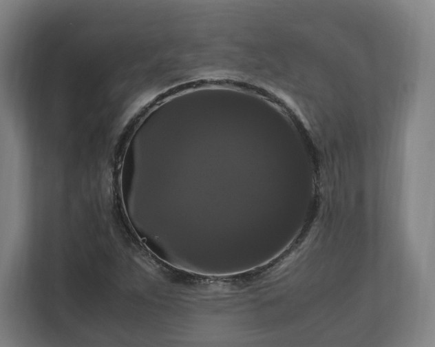 X0000111121263200907070950