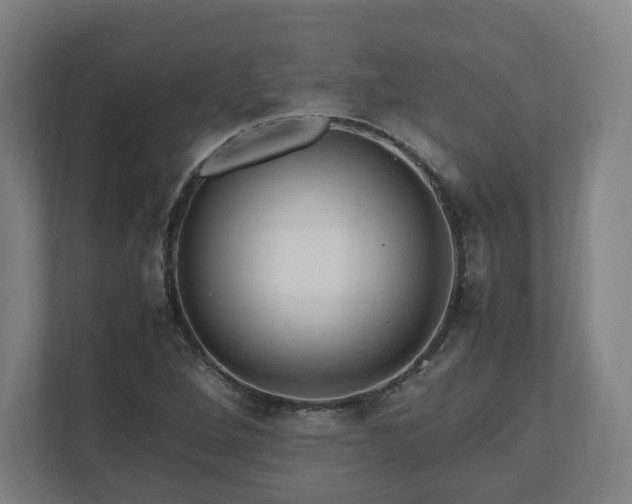 X0000111121264200907070950