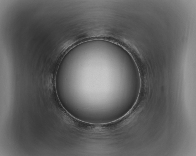 X0000111121265200907070950