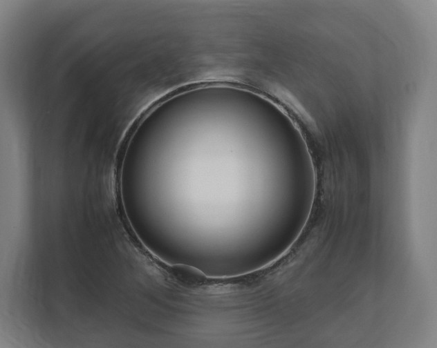 X0000111121268200907070950