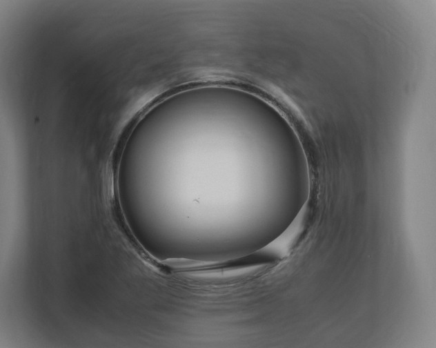 X0000111121269200907070950