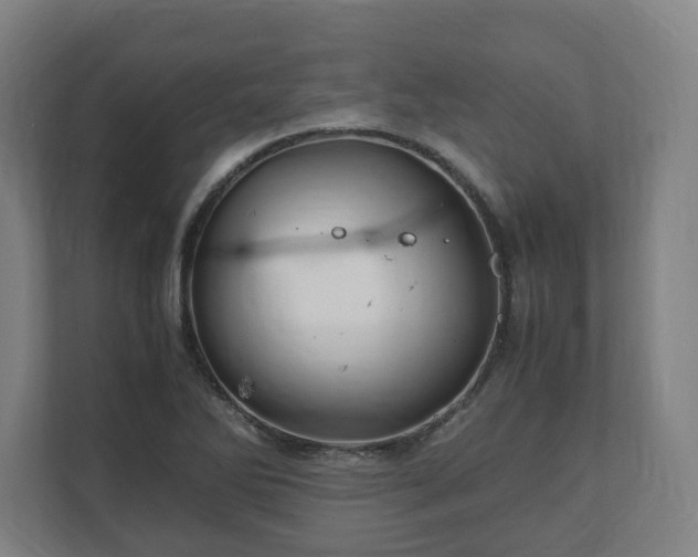 X0000111121270200907070950