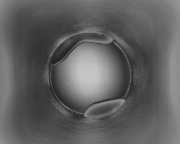 X0000111121272200907070950