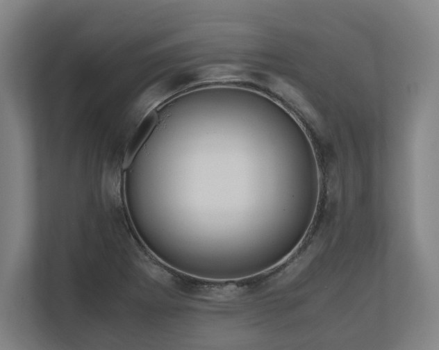 X0000111121273200907070950