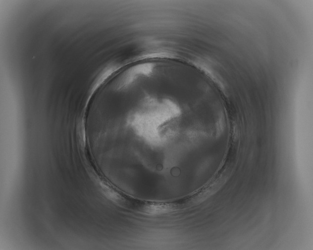 X0000111121274200907070950