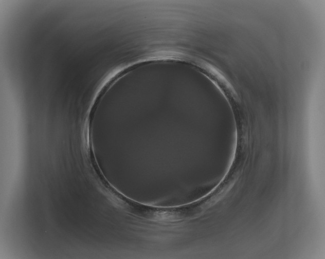 X0000111121275200907070950