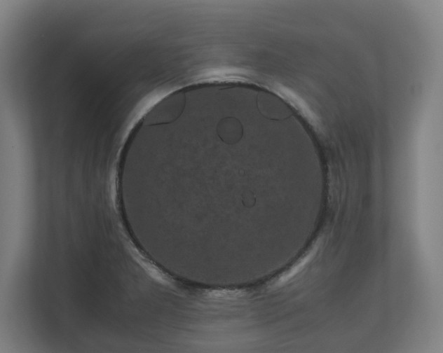 X0000111121277200907070950