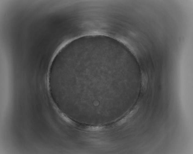 X0000111121278200907070950