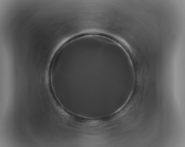 X0000111121279200907070950