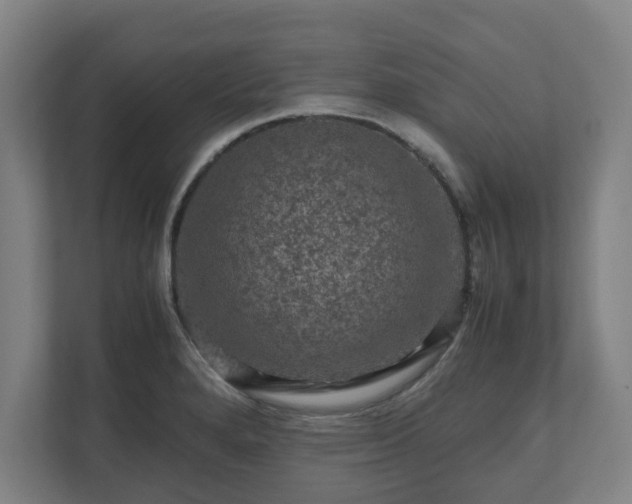 X0000111121280200907070950