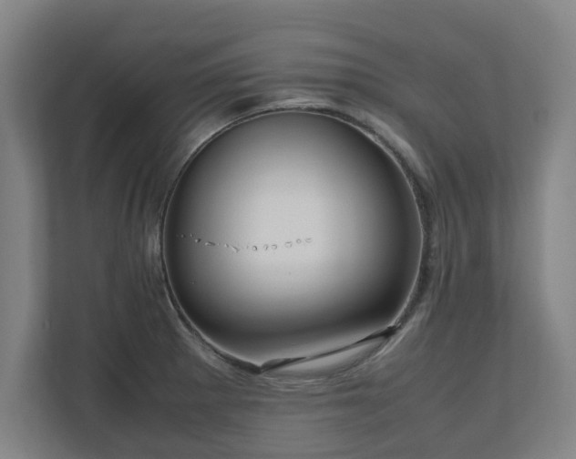 X0000111121281200907070950