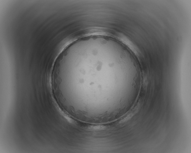 X0000111121282200907070950