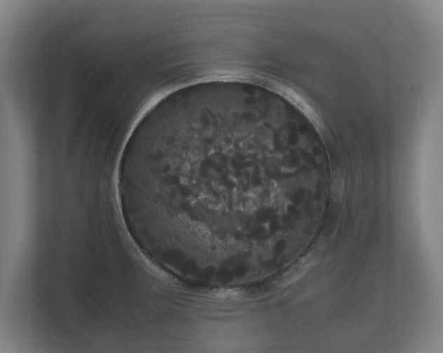 X0000111121283200907070950