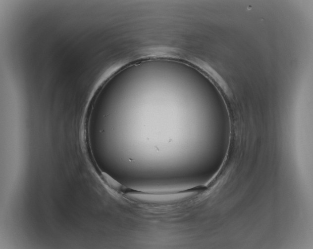 X0000111121285200907070950