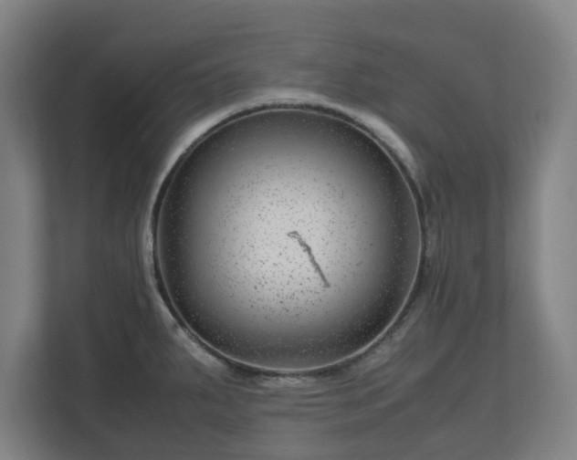 X0000111121287200907070950