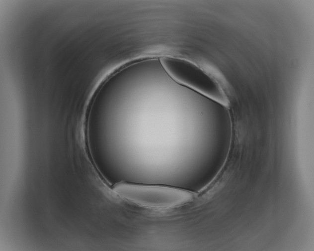 X0000111121288200907070950