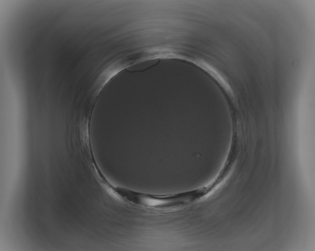 X0000111121289200907070950