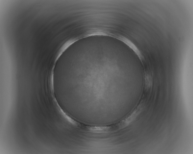 X0000111121290200907070950