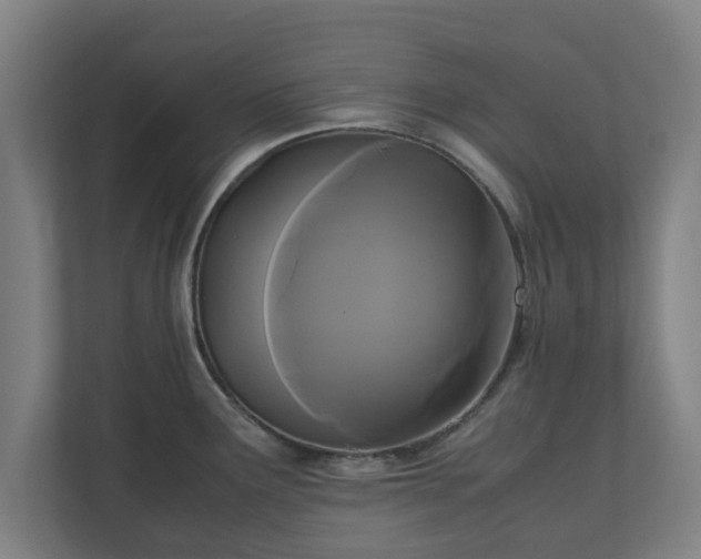 X0000111121291200907070950