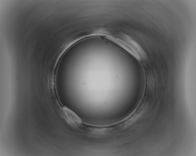 X0000111121292200907070950