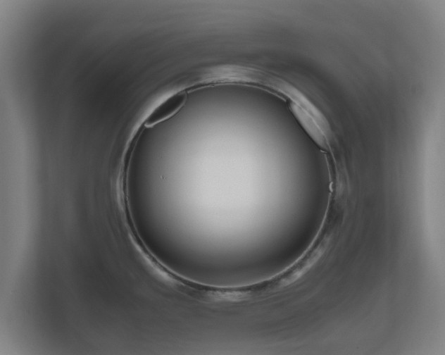 X0000111121293200907070950