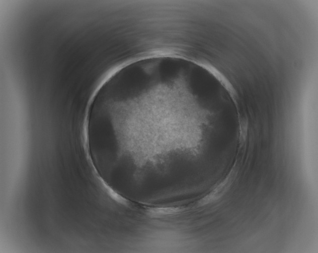 X0000111121294200907070950