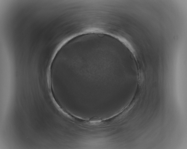 X0000111121295200907070950