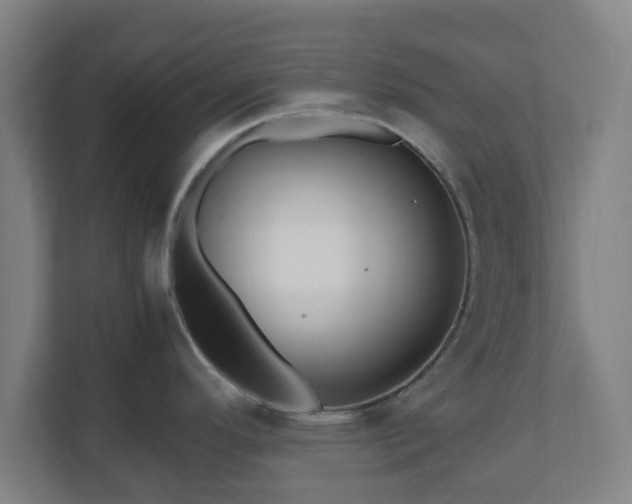 X0000111121296200907070950