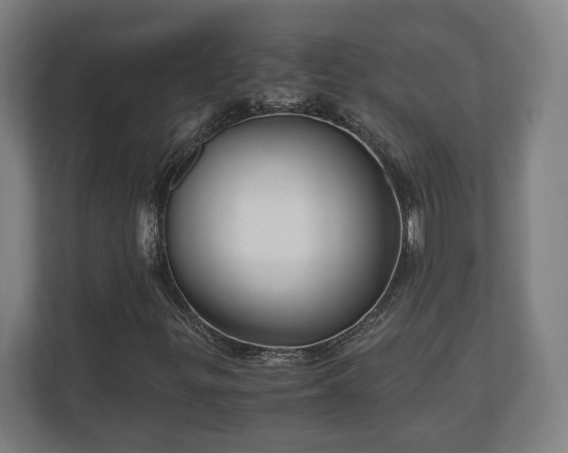 X0000111121299200907070949