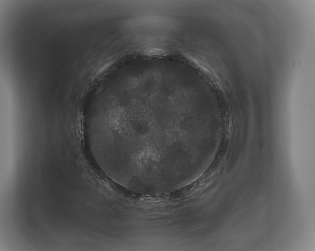 X0000111121301200907070949