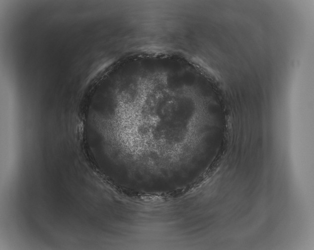 X0000111121302200907070949