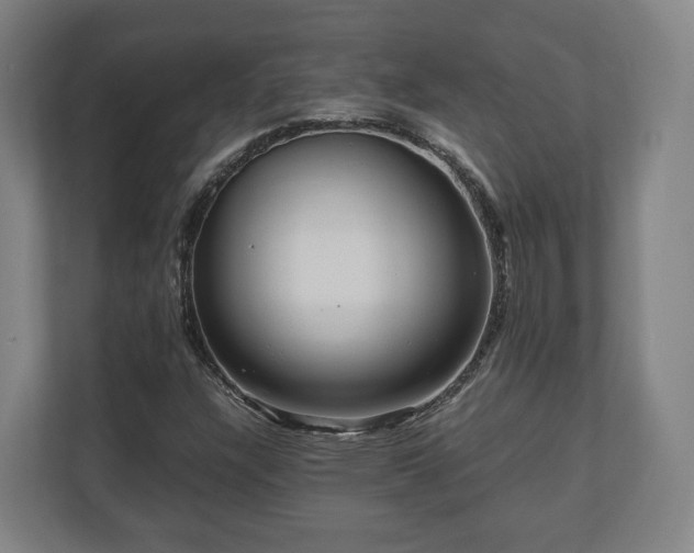 X0000111121304200907070949