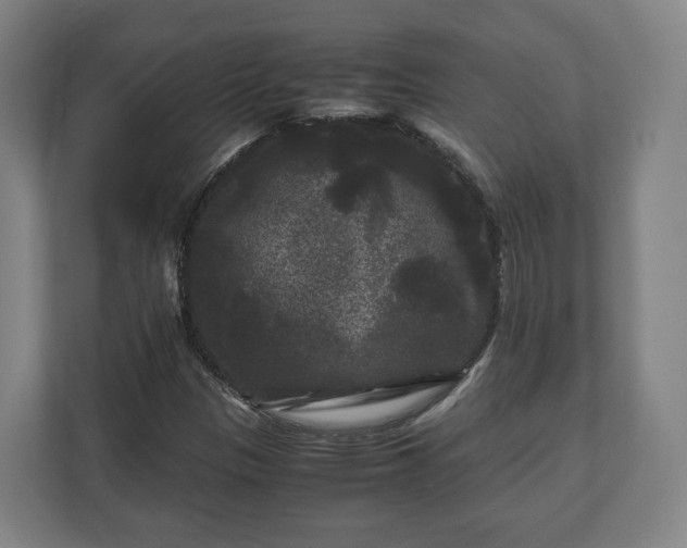 X0000111121305200907070949