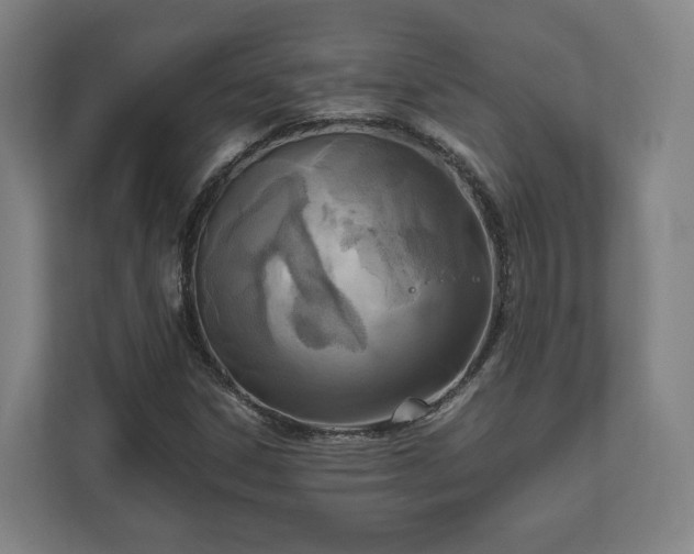 X0000111121306200907070949