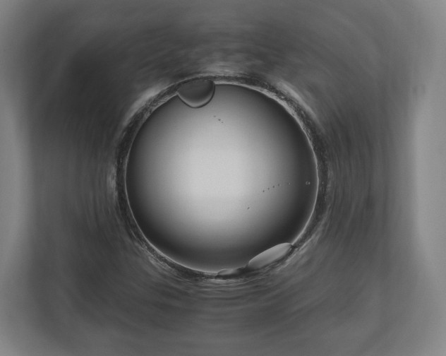 X0000111121307200907070949