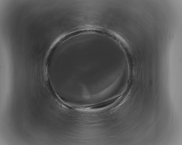 X0000111121310200907070949