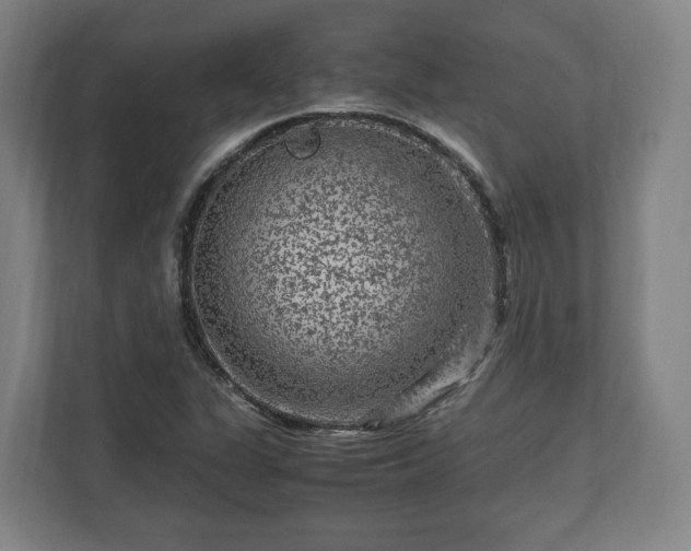 X0000111121311200907070949