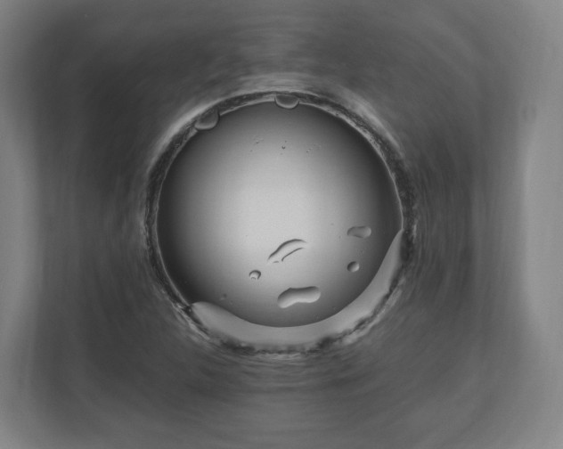 X0000111121312200907070949