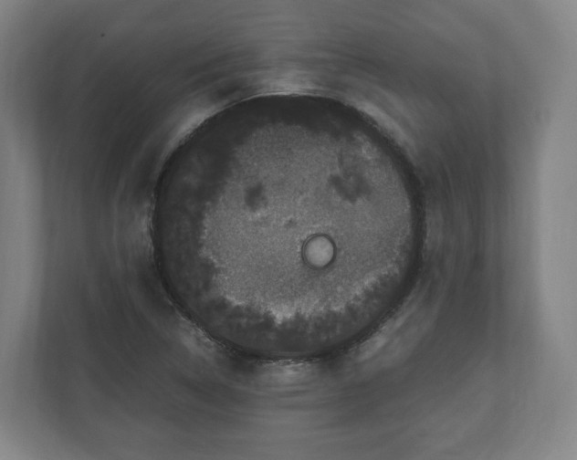 X0000111121314200907070949