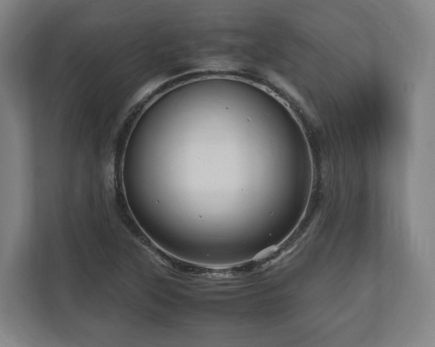 X0000111121315200907070949