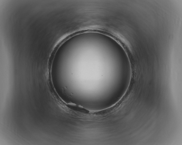 X0000111121316200907070950