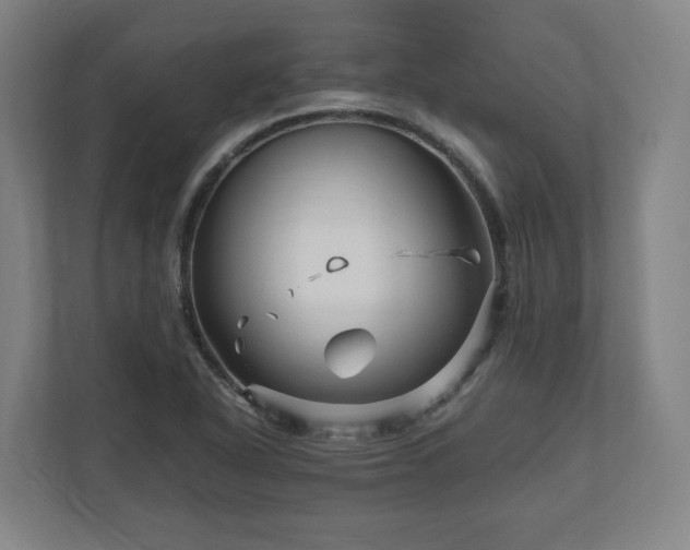 X0000111121318200907070950