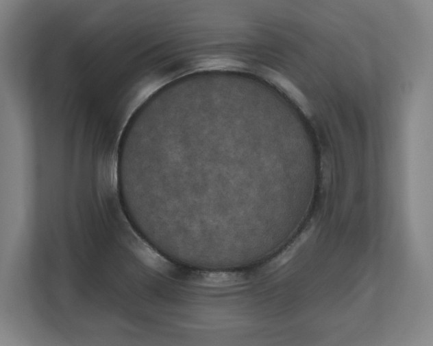 X0000111121322200907070950