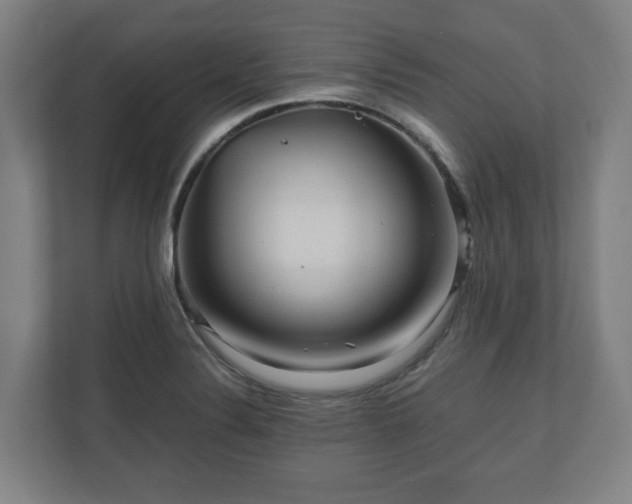 X0000111121324200907070950