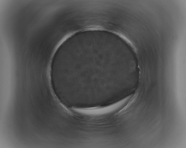 X0000111121325200907070950