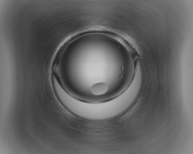 X0000111121326200907070950