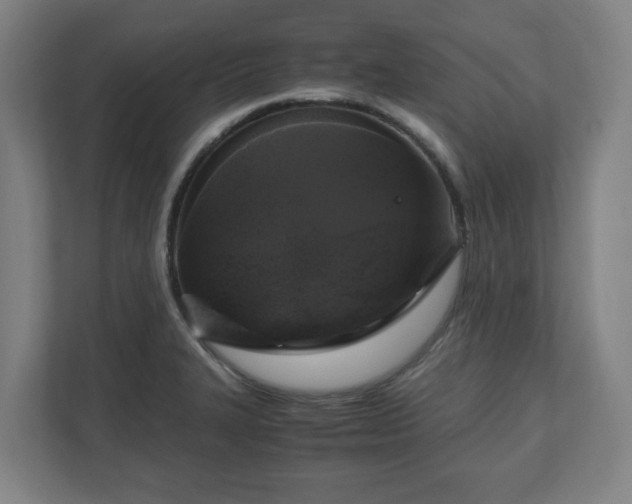 X0000111121327200907070950