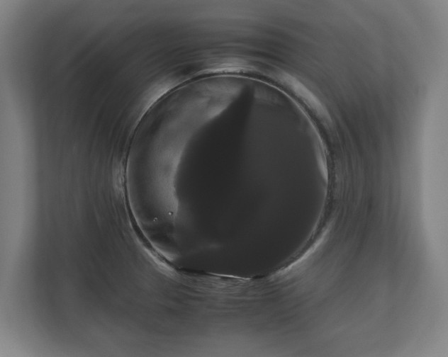 X0000111121329200907070950