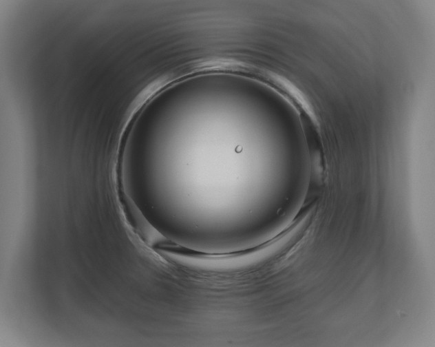 X0000111121330200907070950