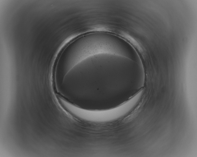 X0000111121331200907070950